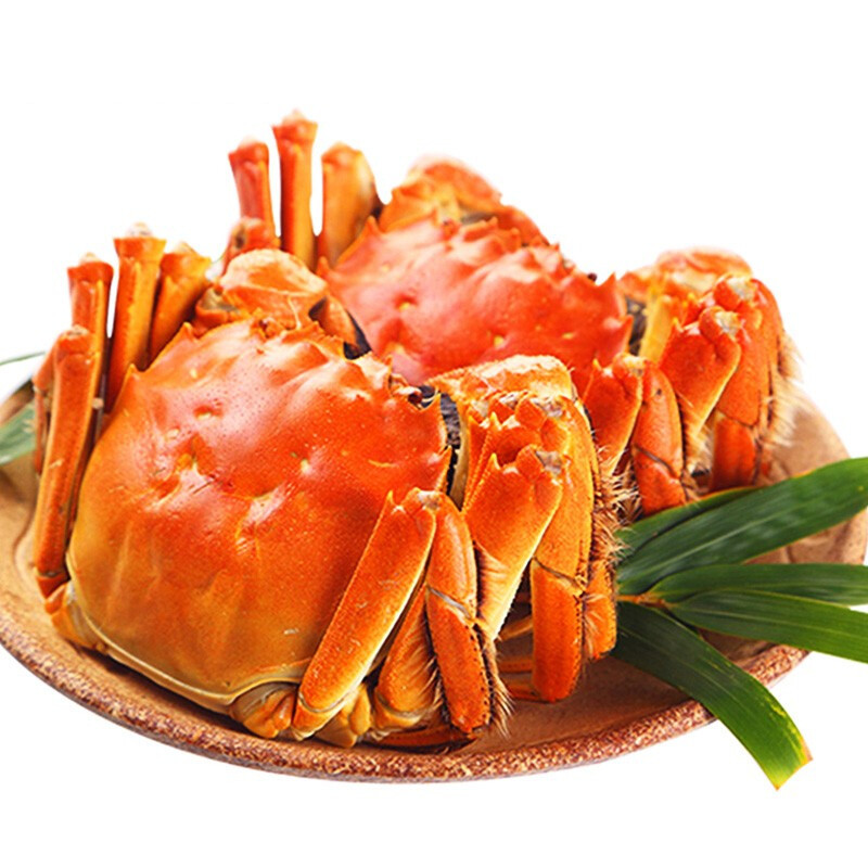 大闸蟹狂欢节：抢购特价，享受顶级美食!