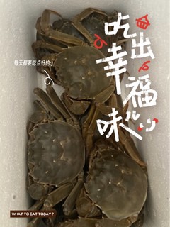 渔家师傅大闸蟹