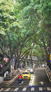 重庆幽静的街道不是没道理，也是有原因的