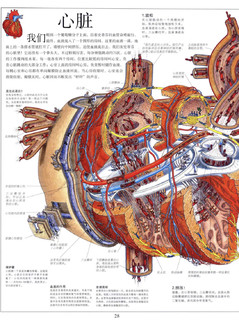 宿世奇书隐藏天机，逆天改命觉醒疱丁神技