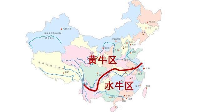 挑战全网水牛奶测评清单,耗费半个月测评29款水牛奶,到底哪款更受青睐?