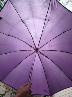 下雨天就要天堂伞了