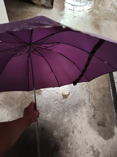 下雨天就要天堂伞了