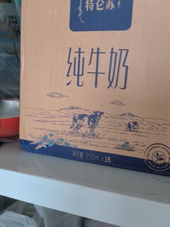 特仑苏纯牛奶