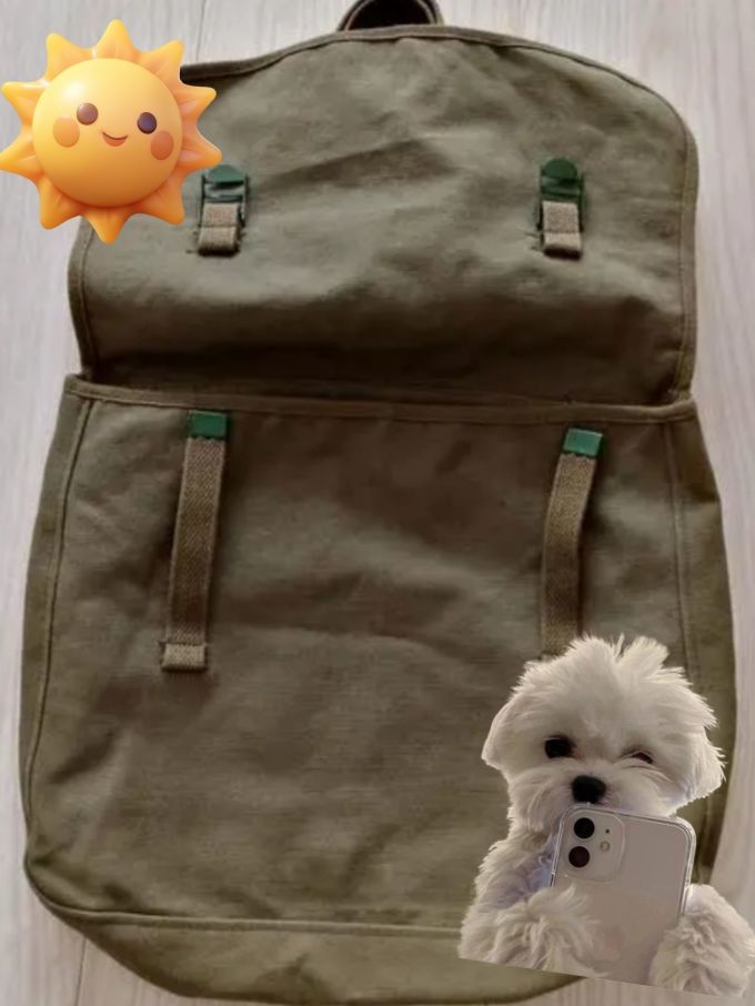 卡拉羊学生书包