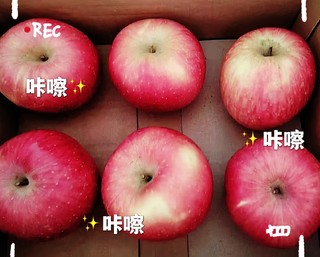 多吃苹果 提高免疫力