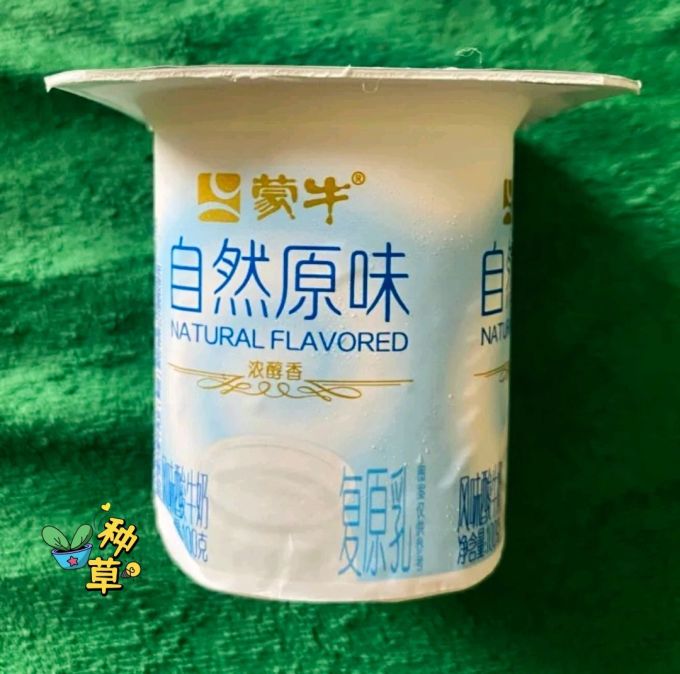 宝藏乳品之蒙牛原味酸奶,品尝大自然的味道