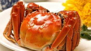 美食 篇十二：这才是大闸蟹最正确的吃法