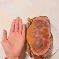 手掌那么大的面包蟹。🤘🤘🤘