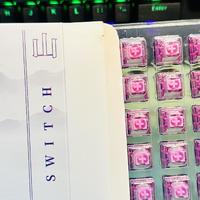 📱数码好物 篇五十七：探秘暮山紫轴——机械键盘的奢华选择