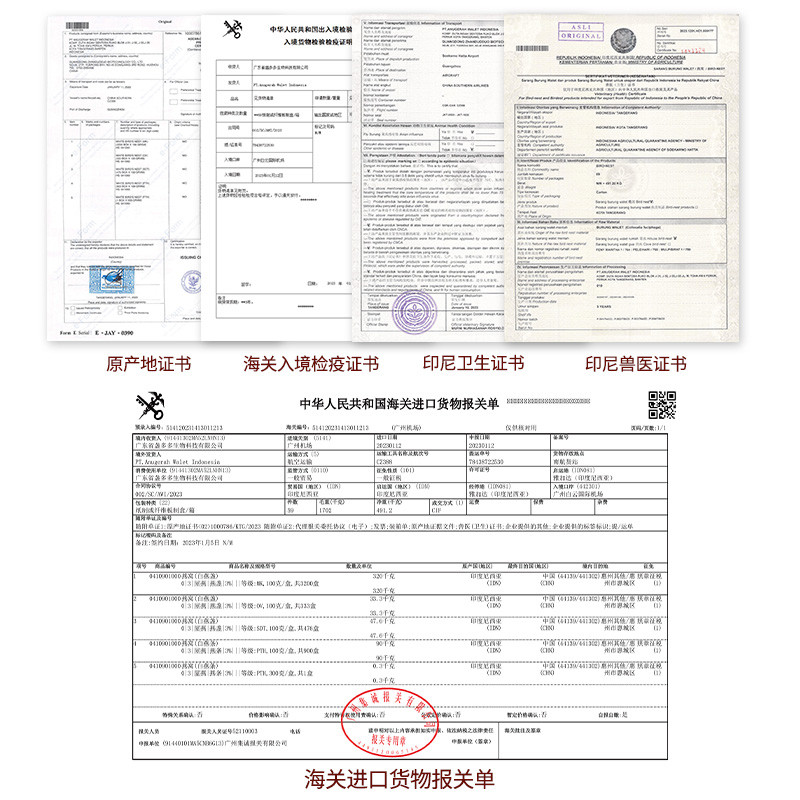 雨季森林印尼燕窝官方旗舰店正品溯源干燕窝3星干盏孕妇滋补礼盒