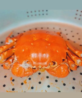 大闸蟹保存秘籍：低温保鲜是关键