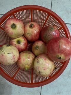 好吃不贵，又到石榴的季节了