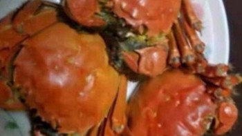 盘点几款美味新鲜的大闸蟹