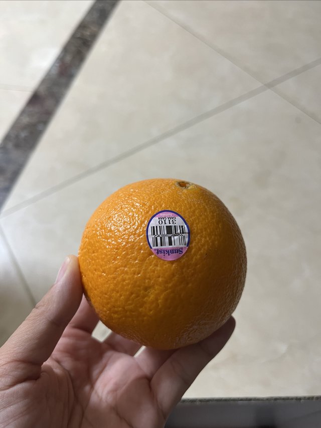 诚心诚意送橙子🍊