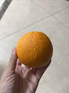 诚心诚意送橙子🍊