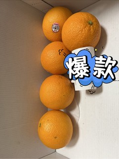 诚心诚意送橙子🍊