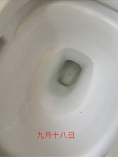 号称一块可以用三十天的威猛洁厕宝真的可以用三十天么？