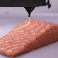 世界上第一条3D打印出来的三文鱼，将在维也纳超市陆续推出