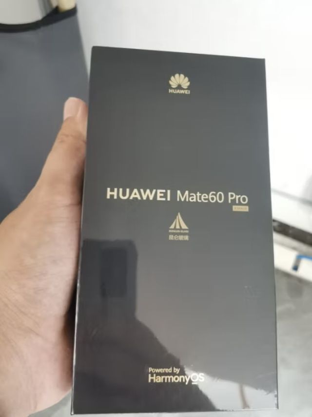 Mate 60 Pro 你们那加价吗