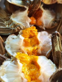 母蟹蟹黄，公蟹蟹膏，农历九月吃蟹的最佳时节！