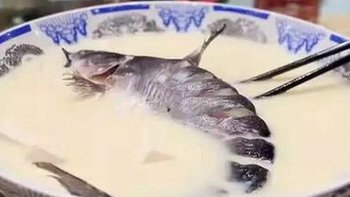 舌尖上的奶汁肥王鱼：一口鲜嫩，回味无穷!