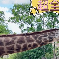 国庆出游☞“武汉野生动物园”攻略