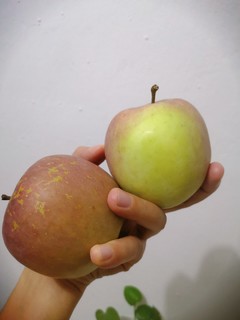 最近买的苹果也太丑了吧！