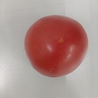 番茄你生吃吗
