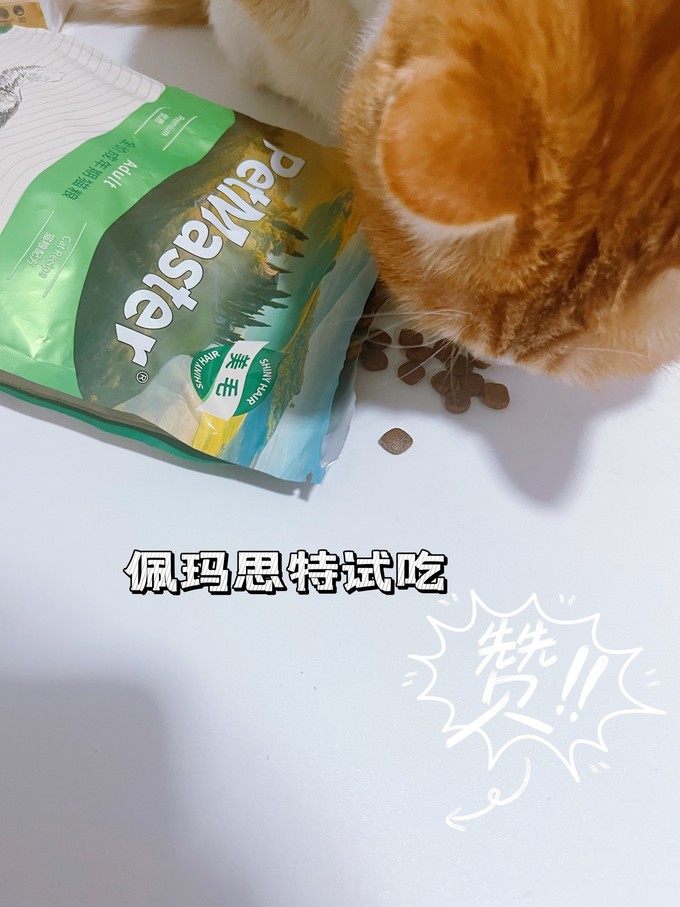 佩玛思特猫粮