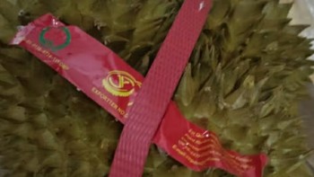 国庆宅家的水果