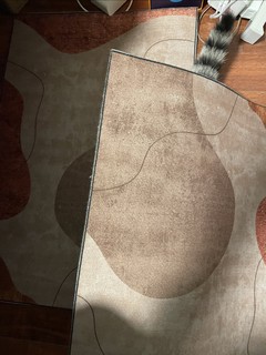 我的地垫被猫抢了！