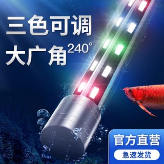 维护鱼缸水质的水族灯