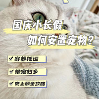 放长假该如何安置宠物？超实用攻略