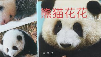 优质童书 篇二十七：被熊猫花花治愈了！快来看看花花的成长故事！