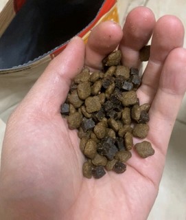 麦富迪狗粮 无谷牛肉双拼粮1.5kg 成犬小型犬泰迪比熊博美