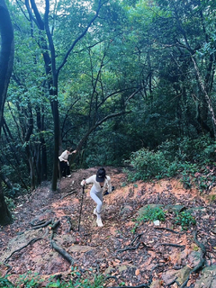 原始人的登山杖没想到也这么好用！