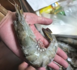 鲜京采 巨型黑虎虾 去冰净重1kg 13-15只/盒  送礼 家庭聚餐