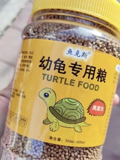 小乌龟的最爱