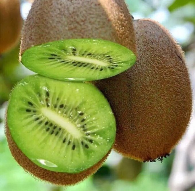 中秋送亲人"绿水秦川陕西猕猴桃"