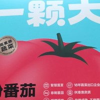 food 篇二十八：一颗大粉番茄：全网最深度测评。【3000字长文告诉你：一颗大vs绿行者，高端番茄到底买谁家？】