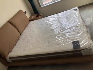 Lynpon林芃云宿床垫家用卧室席梦思厚20cm弹簧乳胶床垫子定制软垫