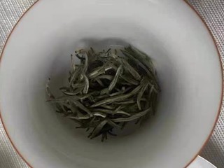 宅家蹭茶，第一次喝白毫银针