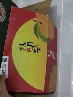 京东买的秋月梨，中秋吃上了