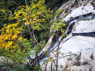 好客山东，大美秋色