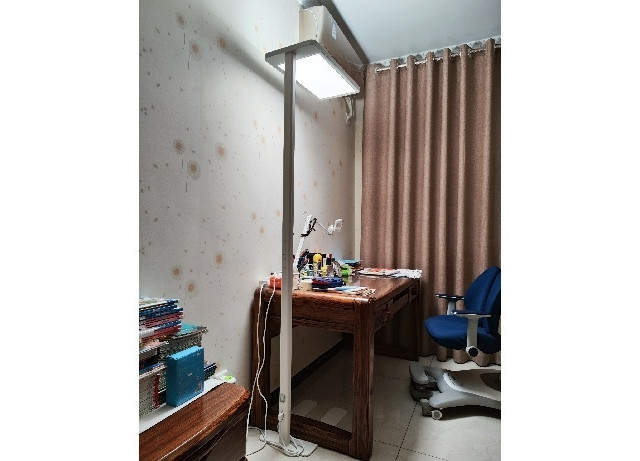 大路灯是不是智商税？京东京造长颈鹿大路灯简评