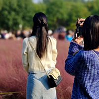 有一说二 篇四十七：假期出游之手机摄影记录北京奥森粉黛草打卡地的美美照片
