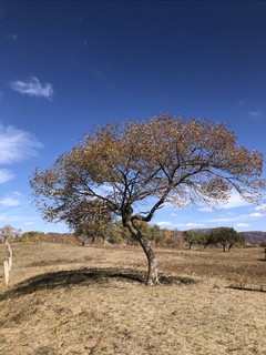 桦树沟摄影基地