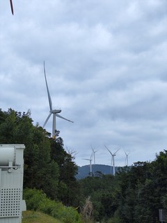 你上过风车山吗，其实上面长这样