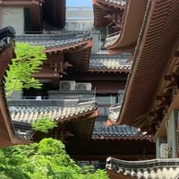 国庆旅游，中山也有园林